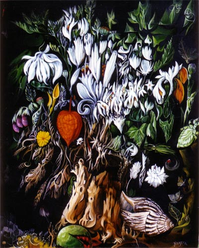 L'aristoloche à la lanterne